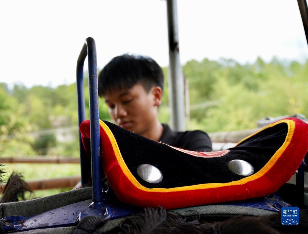 12博登陆
